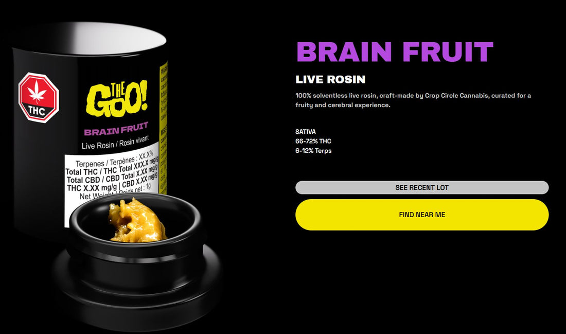The Goo Brain Fruit - Live Rosin Quick Review