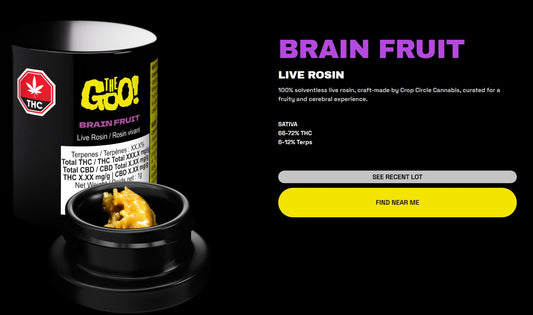 The Goo Brain Fruit - Live Rosin Quick Review