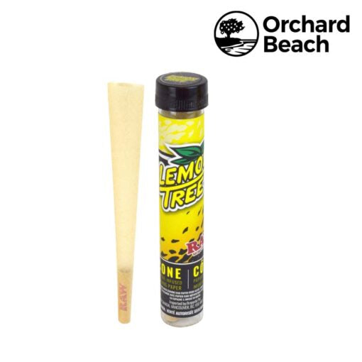 ORCHARD BEACH TERPENE INFUSED RAW CONES – LEMON TREE - 1Pc