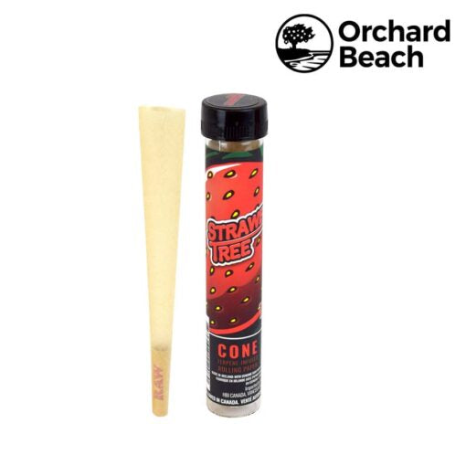 ORCHARD BEACH TERPENE INFUSED RAW CONES – STRAWBERRY TREE - 1Pc